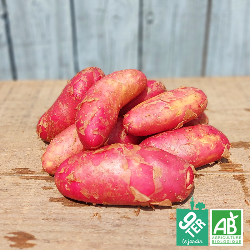 Pomme de terre nouvelle Chérie (500g)