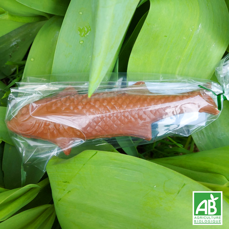 Poisson en chocolat au lait