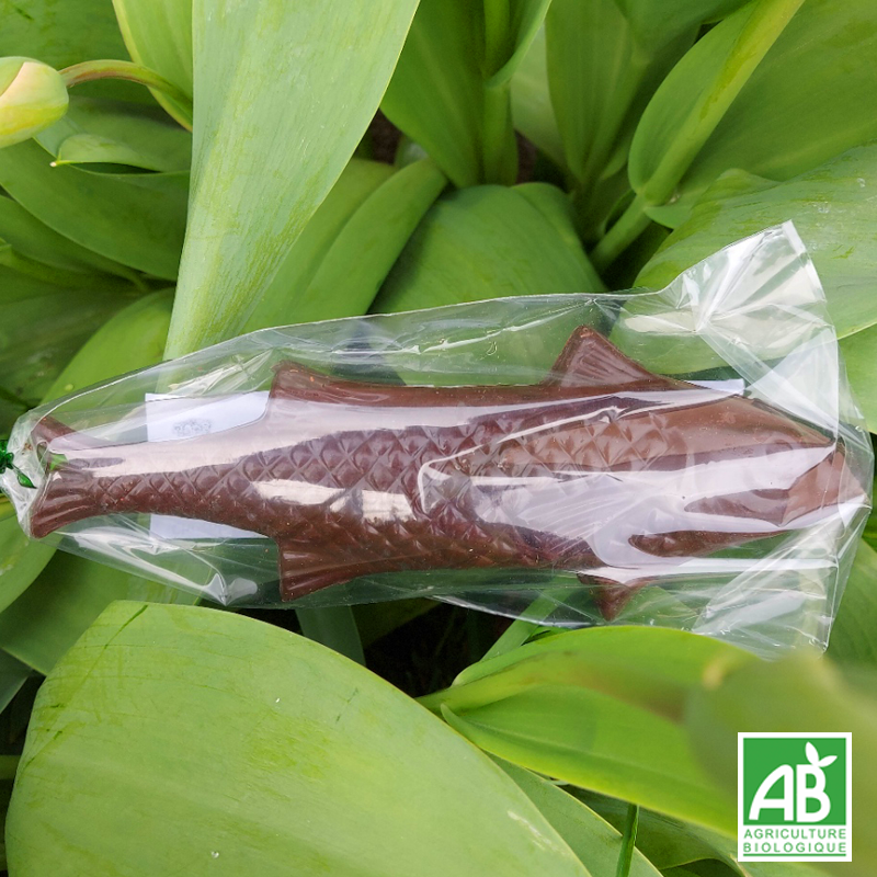 Poisson en chocolat Noir