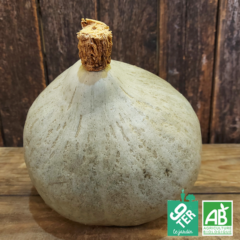 Courge Blue Ballet (pièce)