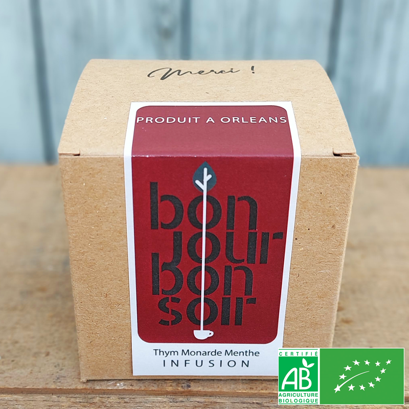 Infusion Thym Monarde Menthe