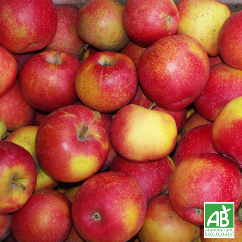 Pomme Mairac La Flamboyante