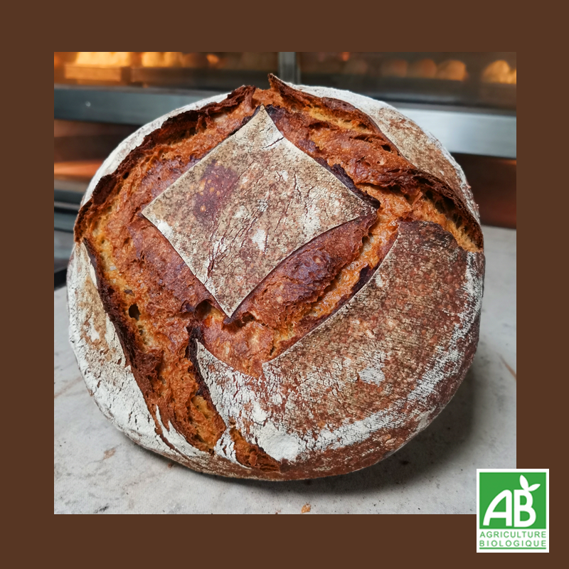 Le Grand Campagne (1,2kg)