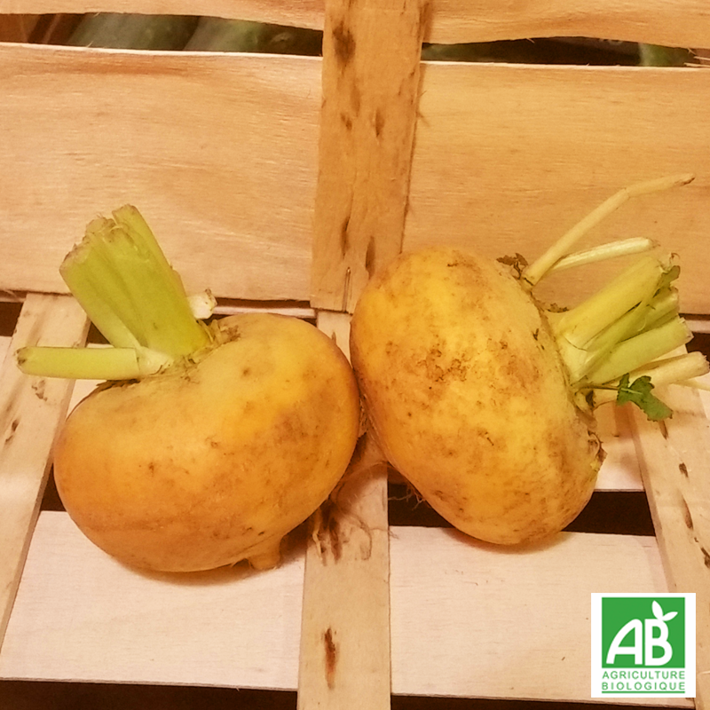 Navet jaune (500g)