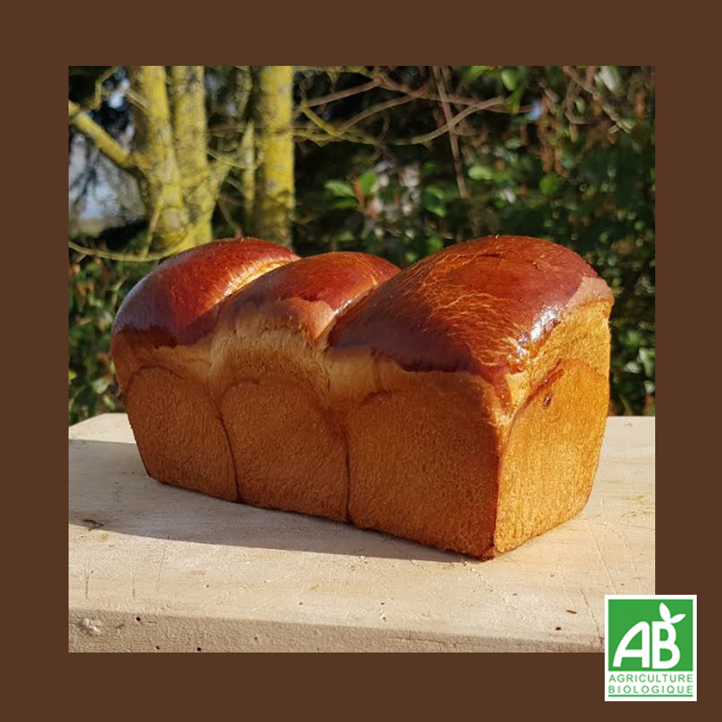 Brioche pur beurre