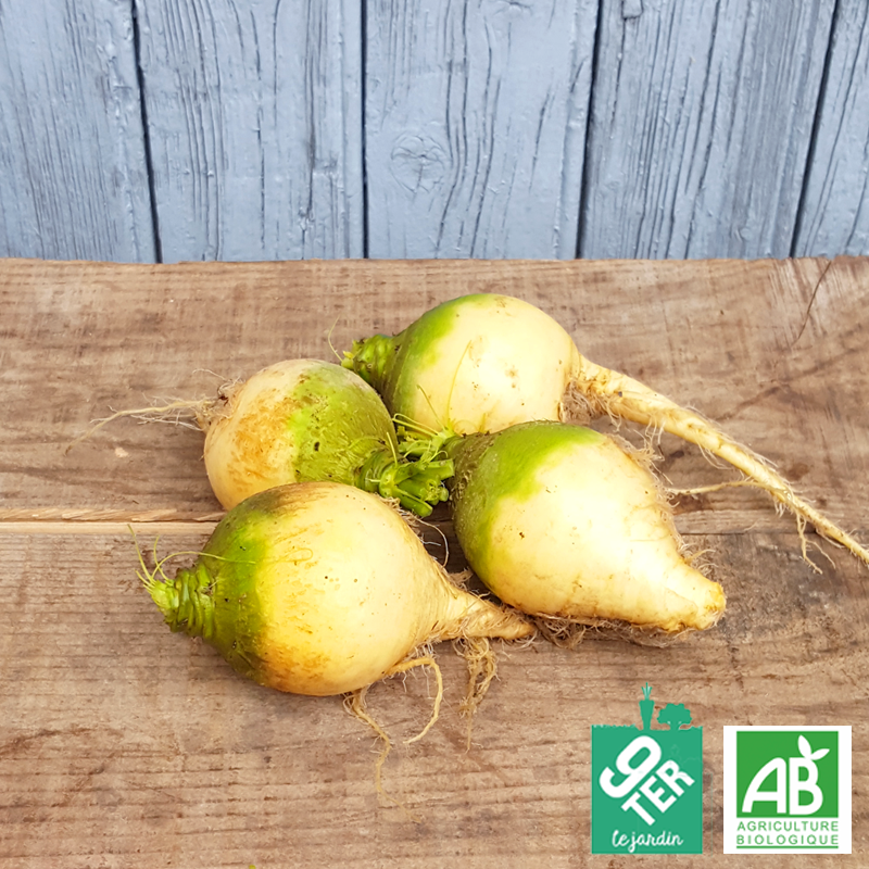 Rutabaga (500g)