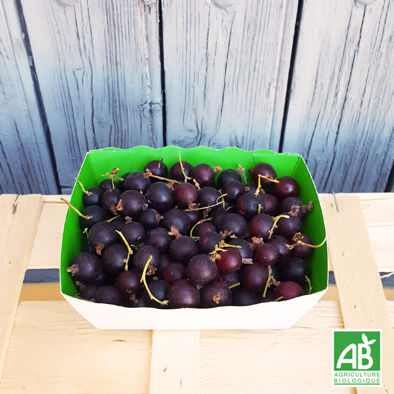 Cassis (barquette 125g)