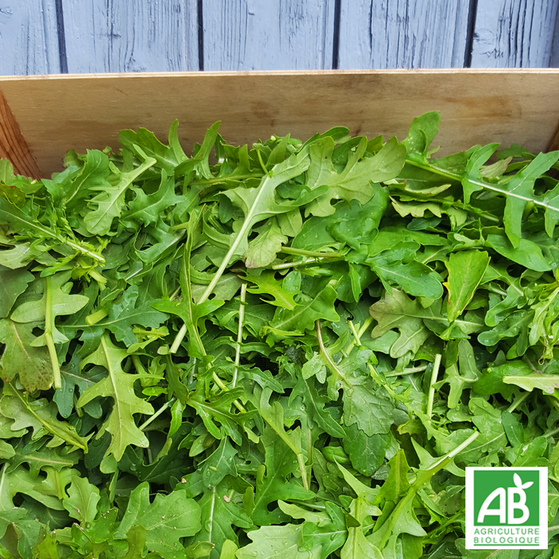 Roquette (200gr)