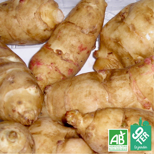 Topinambour Héliantis (400g)