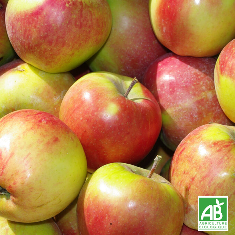 Pomme Delbard Jubilé (kg)