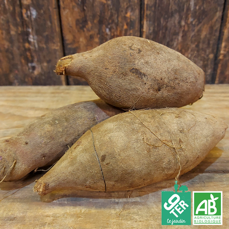 Poire de terre (500g)