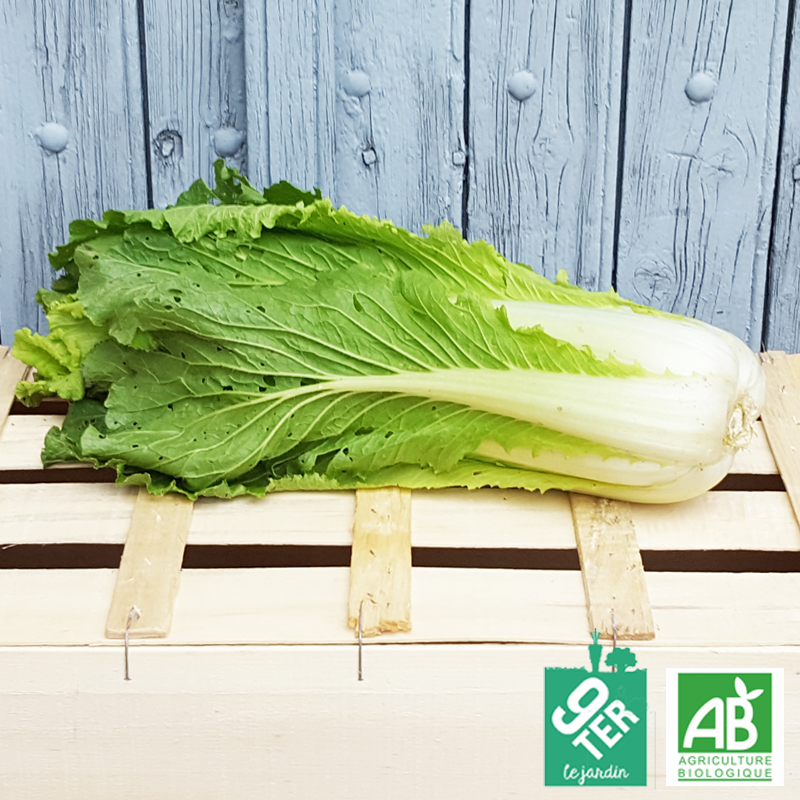 Chou chinois (pièce)