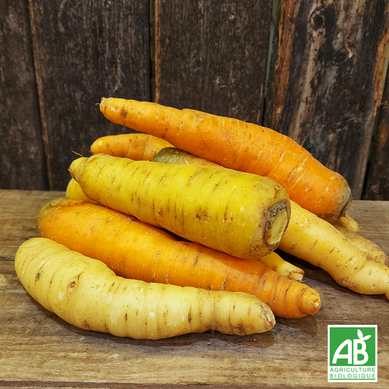 Carottes couleur (kg)