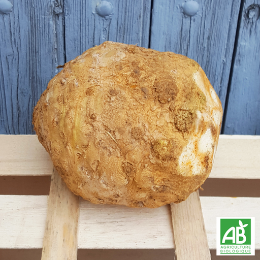 Céleri Rave (pièce)