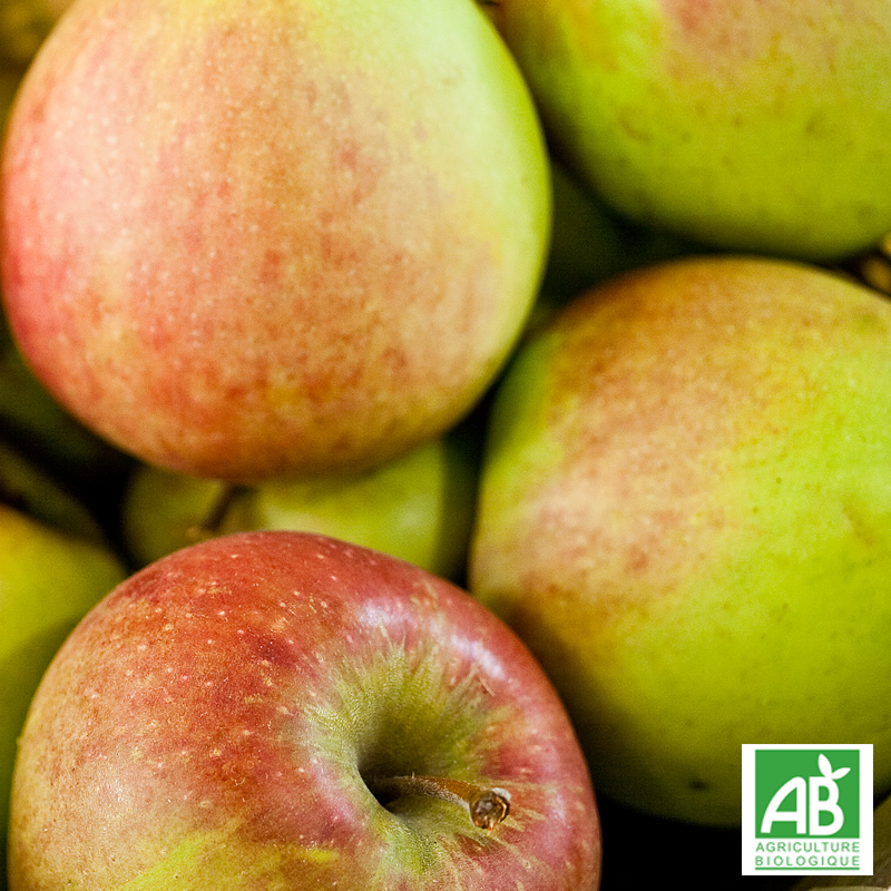 Pomme Delcorf (kg)