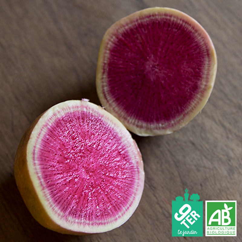 Radis red meat (500g)