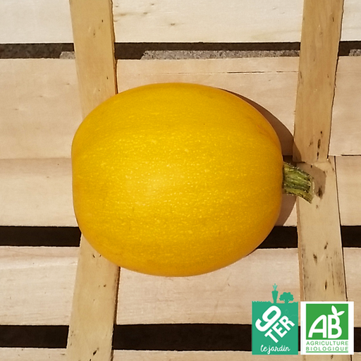 Courge spaghetti (pièce)