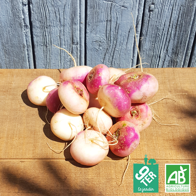 Navet primeur (500g)