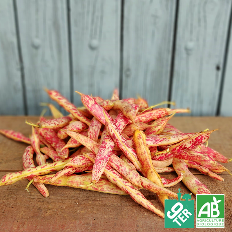 Haricot Borlotto demi-sec (500g)