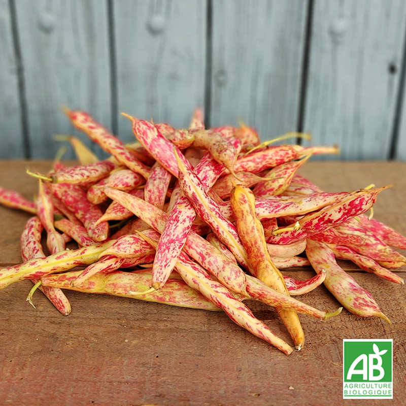 Haricot Borlotto demi-sec (500g)
