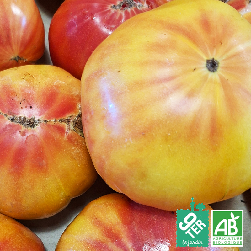 Tomate Ananas