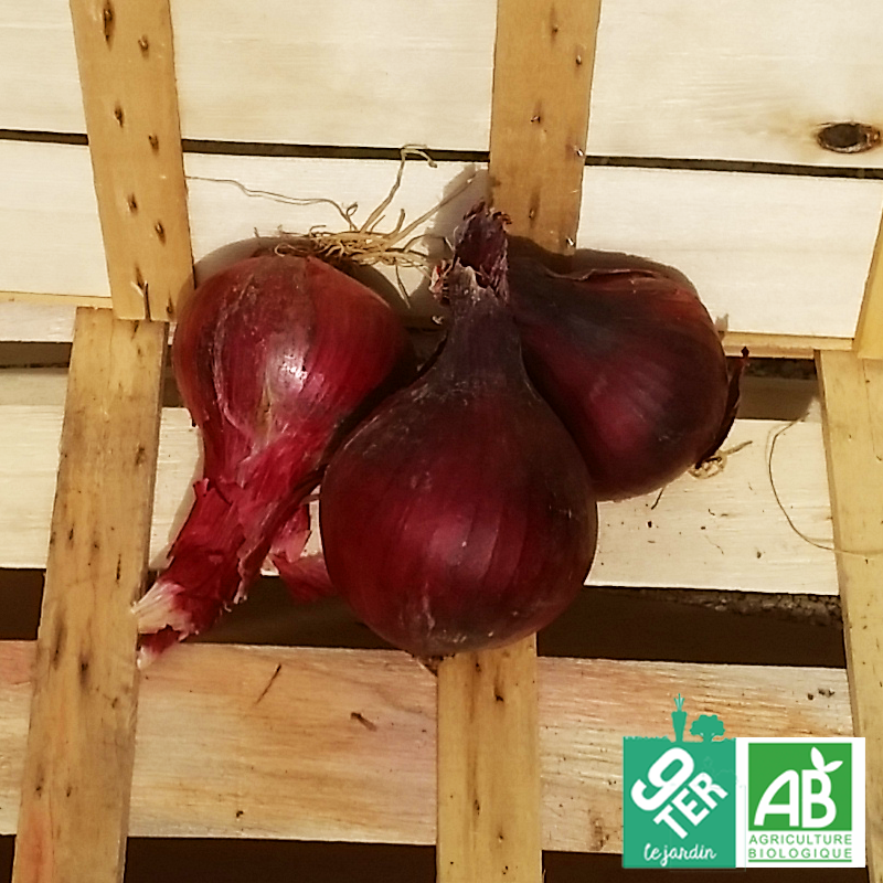 Oignon rouge demi-sec (400g)