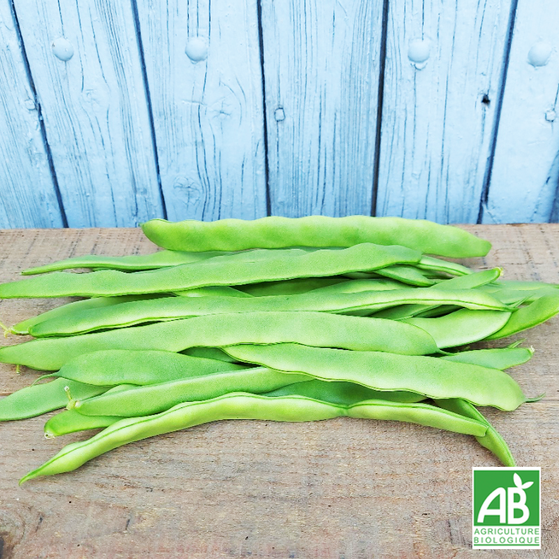Haricot plat (500g)