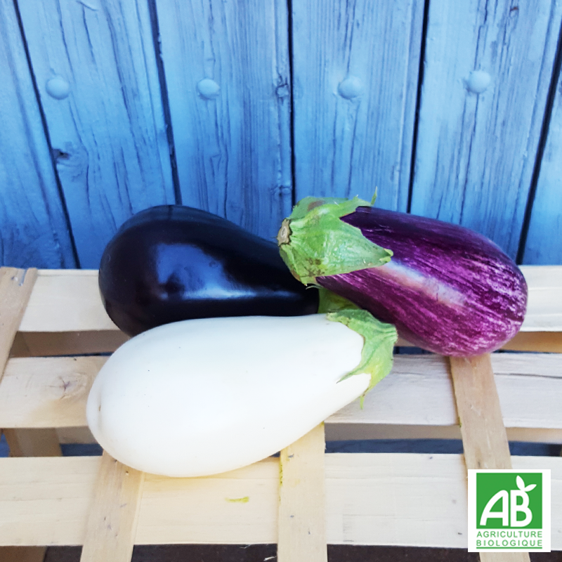 Aubergines variées (700g)