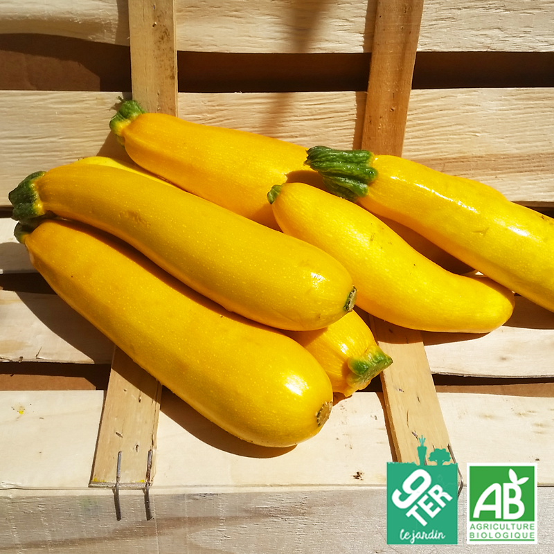 Courgette jaune (kg)