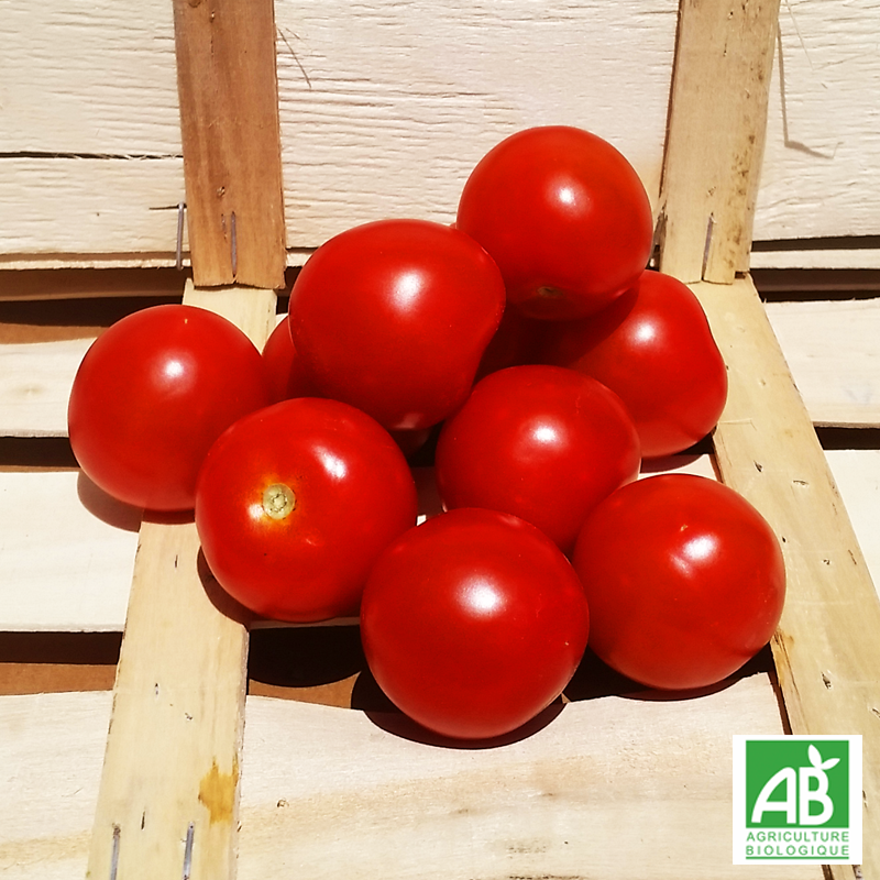Tomate Cocktail (500g)