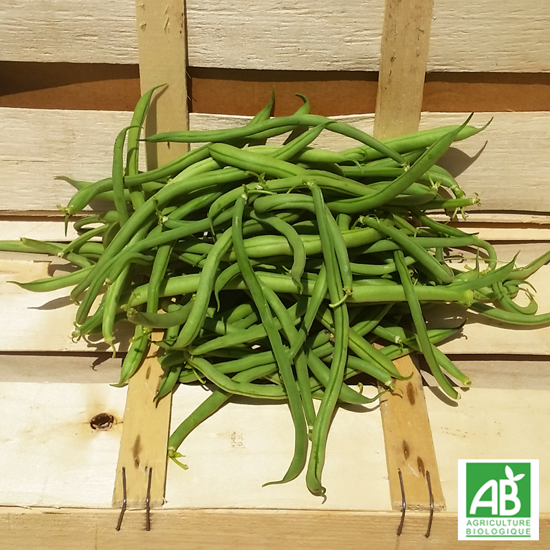 Haricot vert (500g)