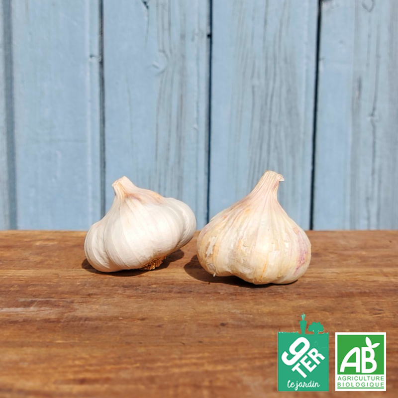 Ail (180g)