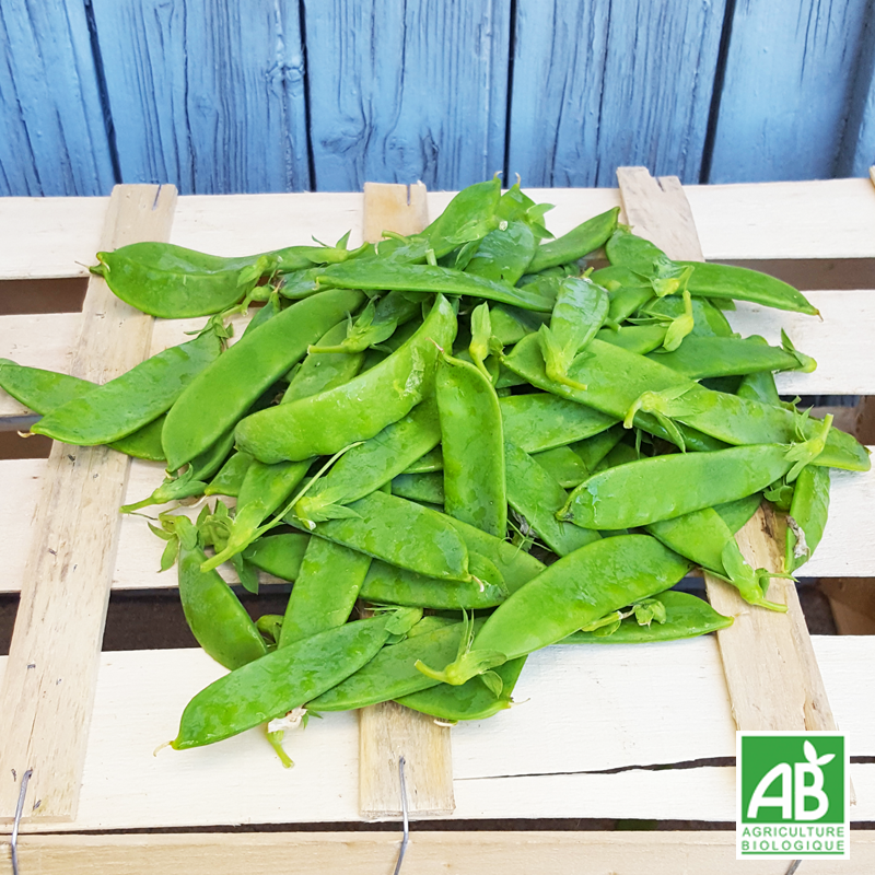 Pois gourmand (250g)