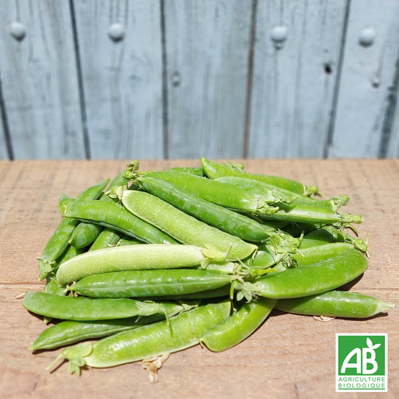 Petit Pois à écosser (500g)