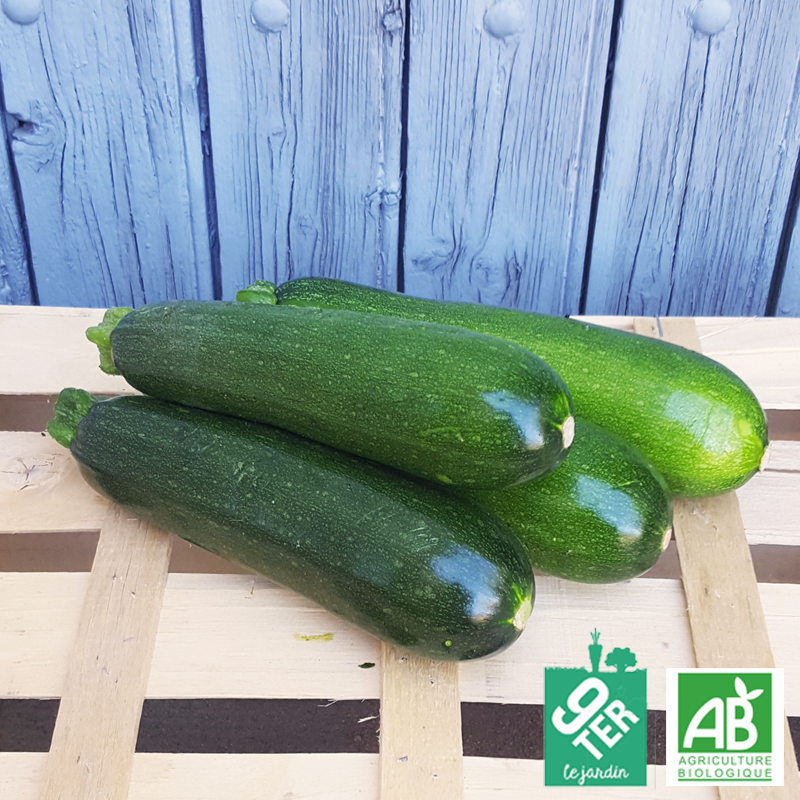 Courgette verte (kg)