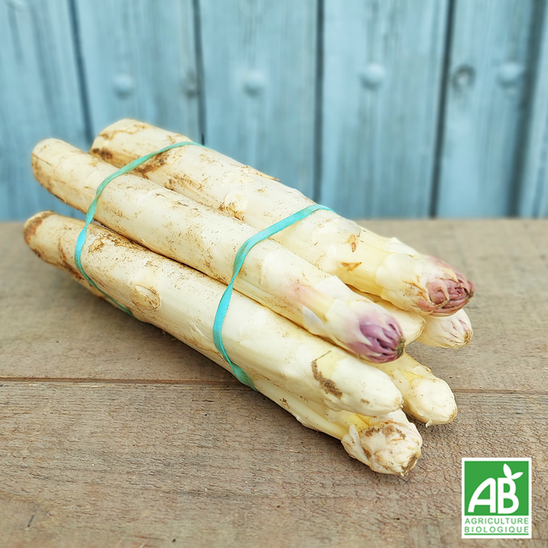 Asperges botte (1kg)