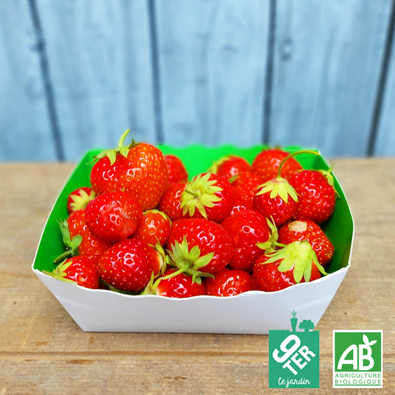 Fraise (barquette 250g)