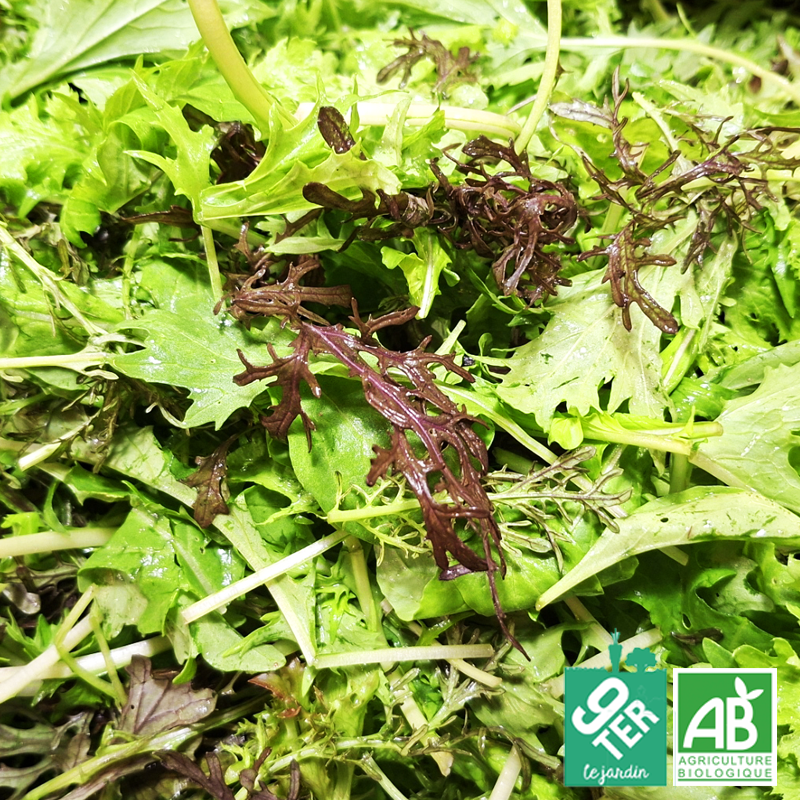 Mesclun (200gr)