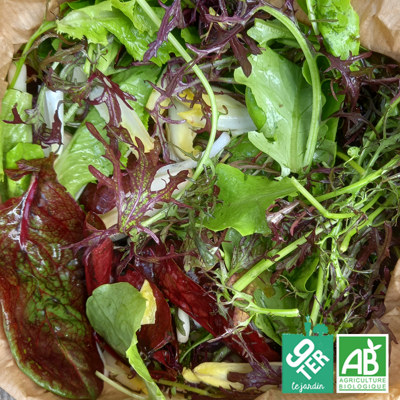 Mesclun (200gr)