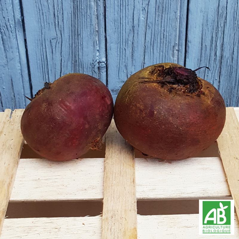 Betterave rouge (600g)