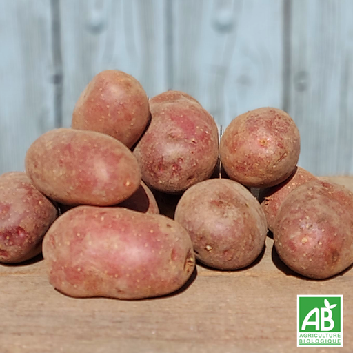 Pomme de terre Cheyenne (kg)