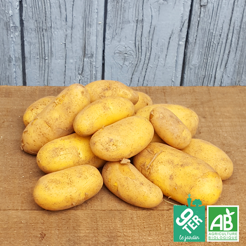 Pomme de terre nouvelle (500g)