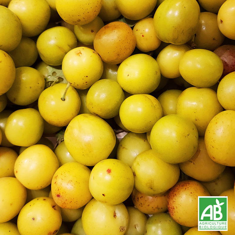 Mirabelle (500g)