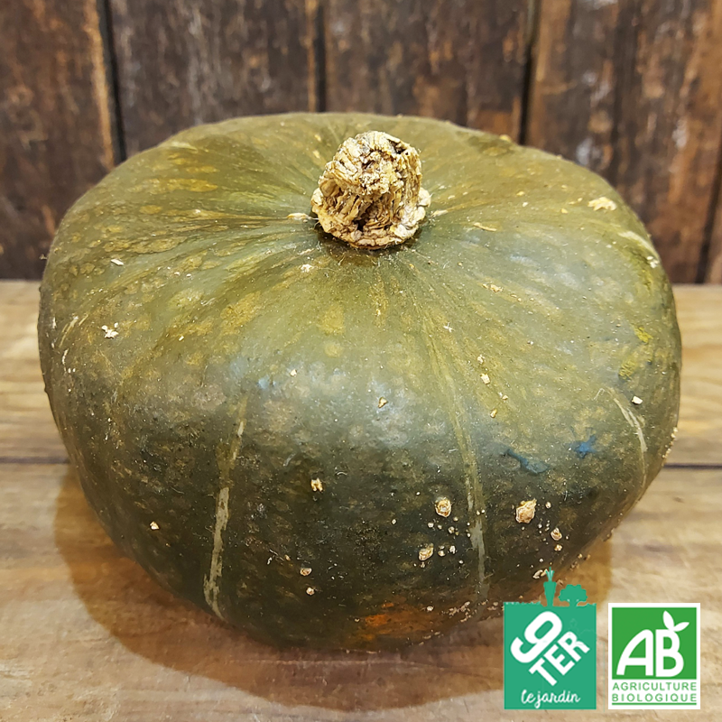 Courge Buttercup (pièce)