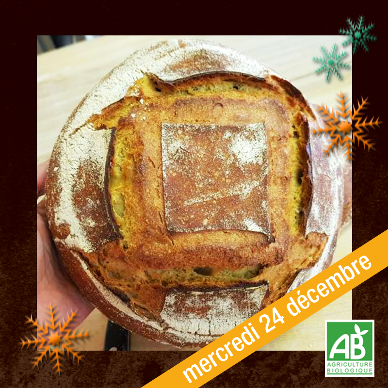 Le Campagne (600g) - 24/12