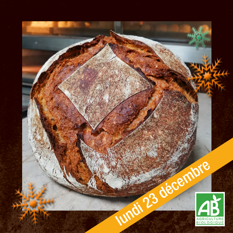 Le Grand Campagne (1,2kg) - 24/12