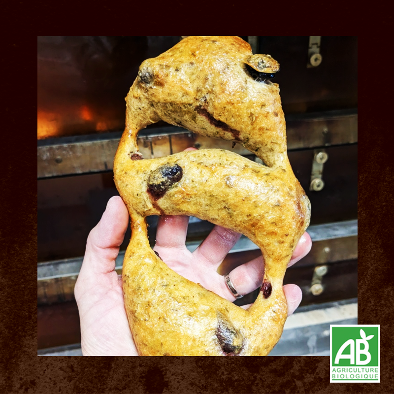 La Fougasse aux olives