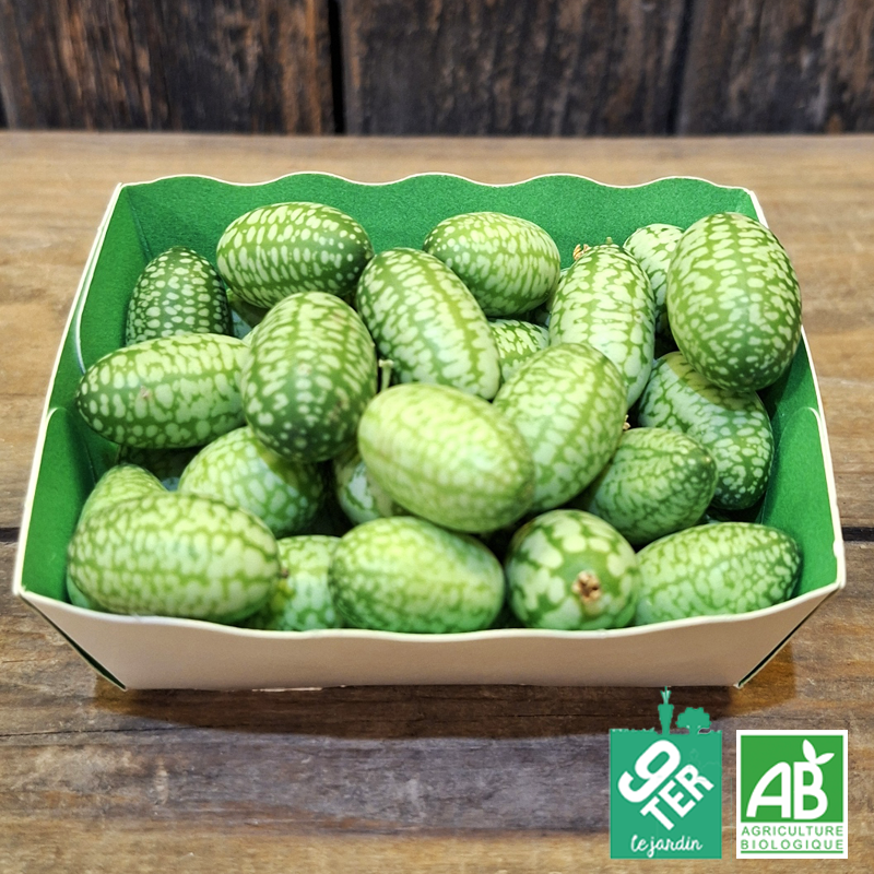 Concombre "Cucamelon"