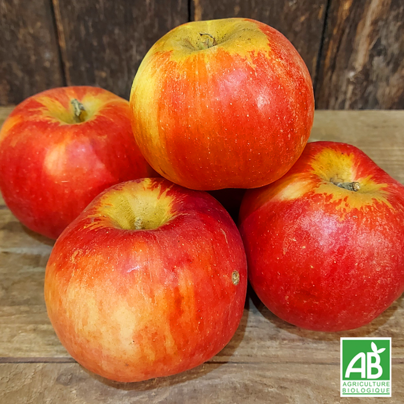 Pomme Idared (kg)