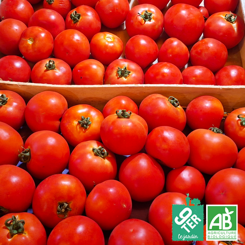 Caisse de tomates rondes (5kg)